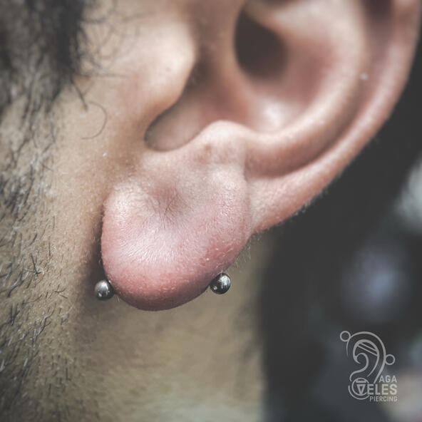 transverse lobe piercing