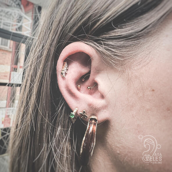 daith &amp; conch piercing